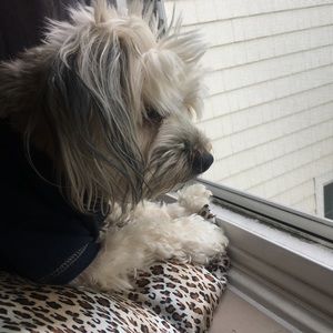 Meet your Posher, Kristine